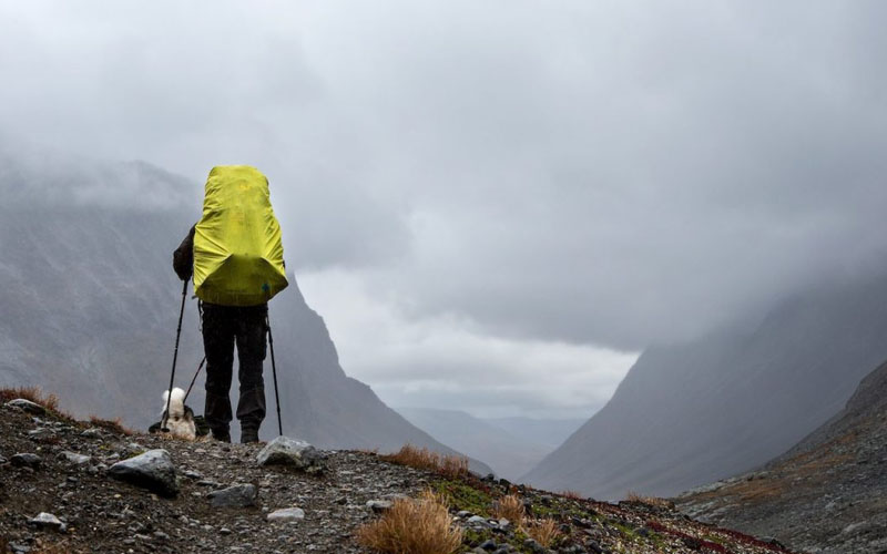 تکنیک های مقابله با مه تکنیک های مقابله با مه